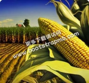 用户至上，服务贴心周到 - 爱游戏